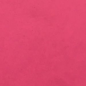 Meet your Posher, Bailey